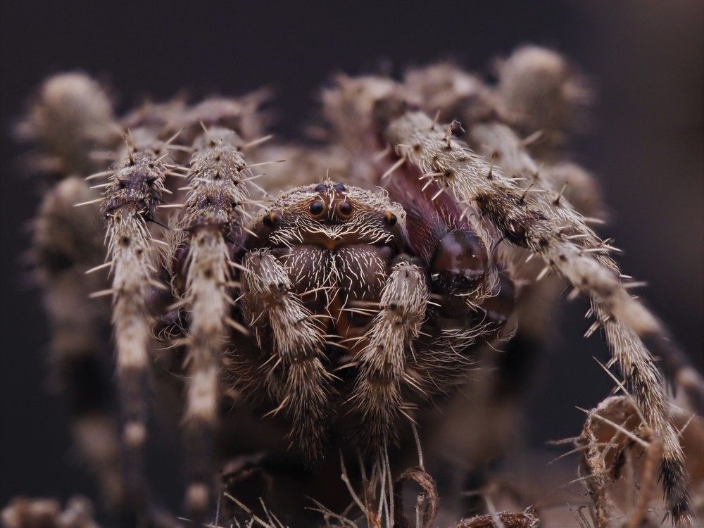 Photograph by Dharmendra Padhiyar