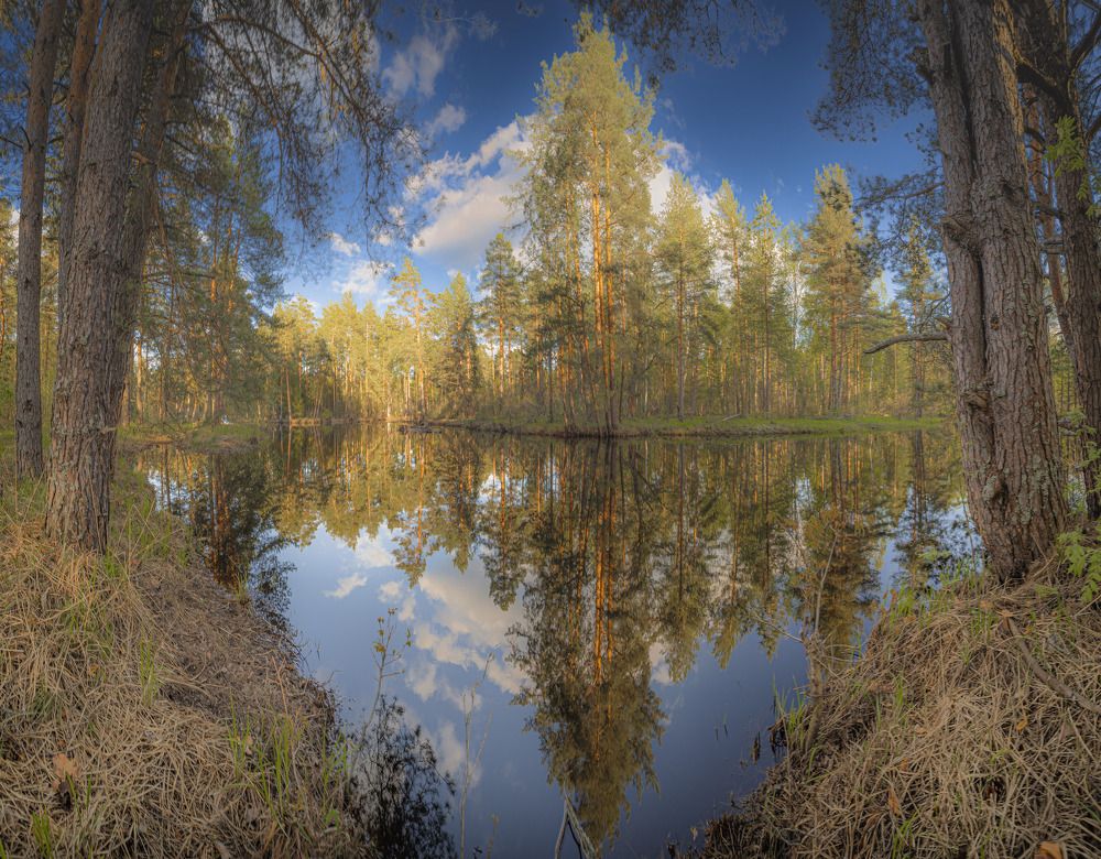 Фотография автора Лаврентьев Александр