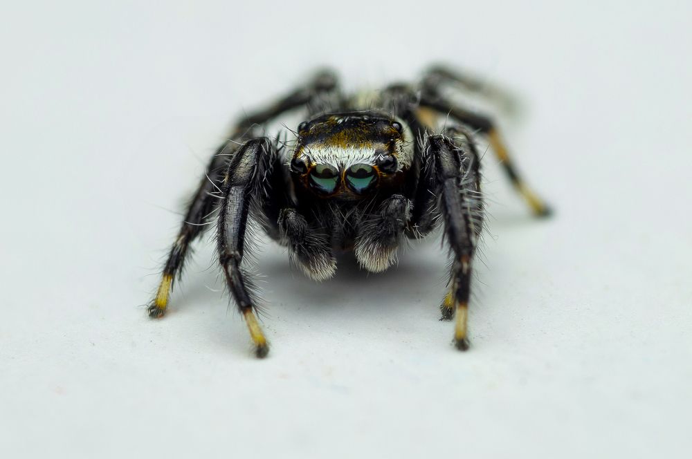 Photograph by Shahrul_Laili