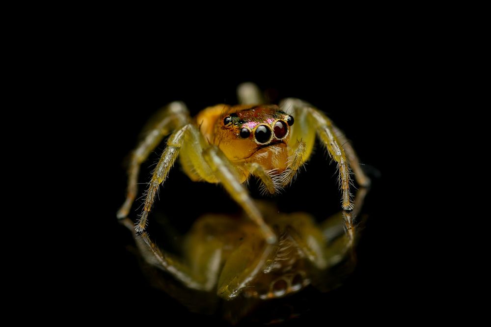 Photograph by Shahrul_Laili