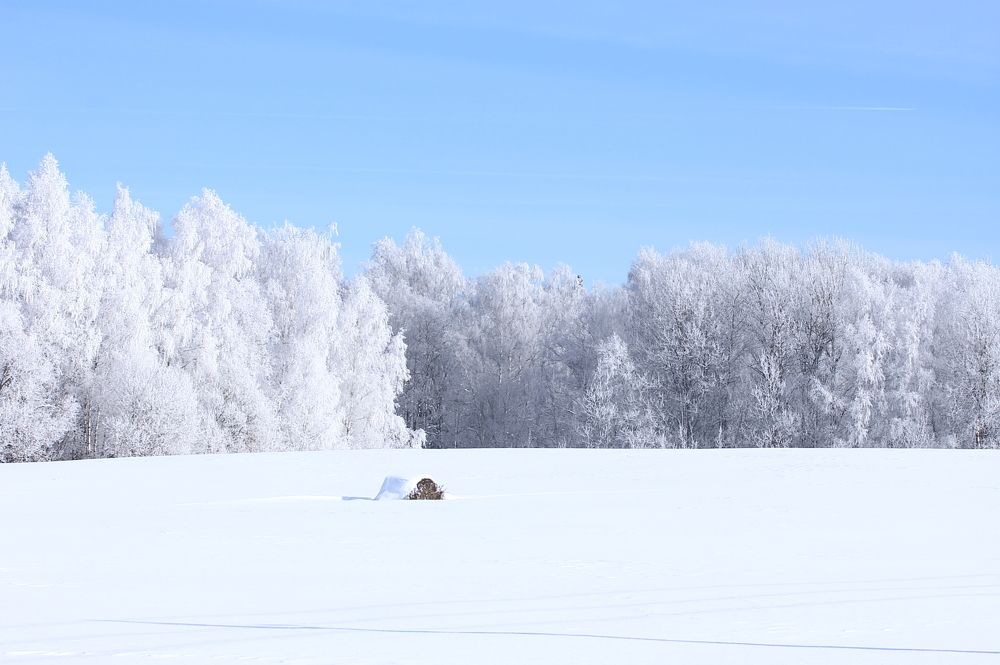 Мороз и солнце; день чудесный!