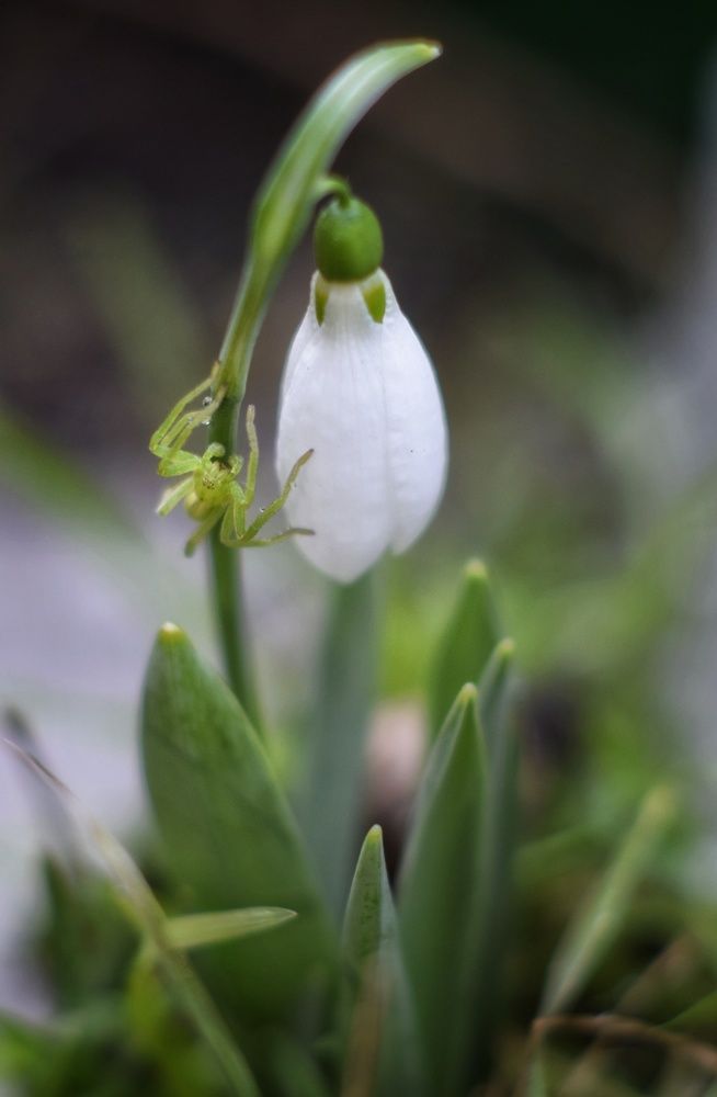 Photograph by Наталья Ткаченко