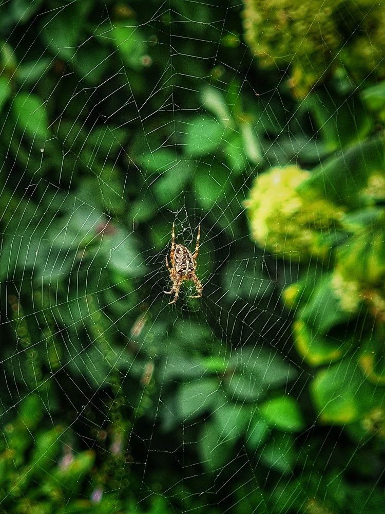 Фотография автора Дана Богинская