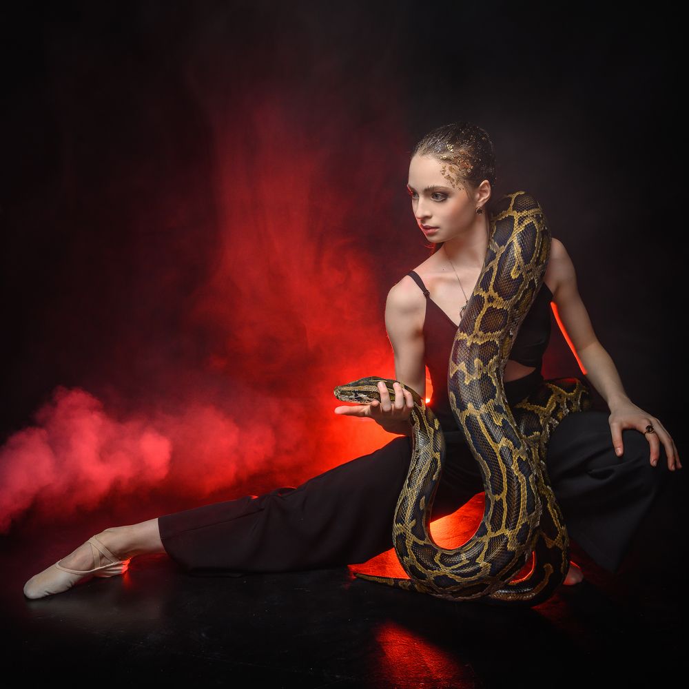 Укрощение рептилии