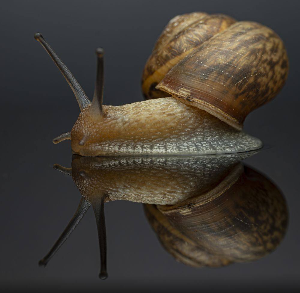 Photograph by Сергей