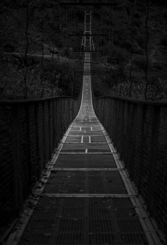 Фотография автора Майрануш Оганнисян