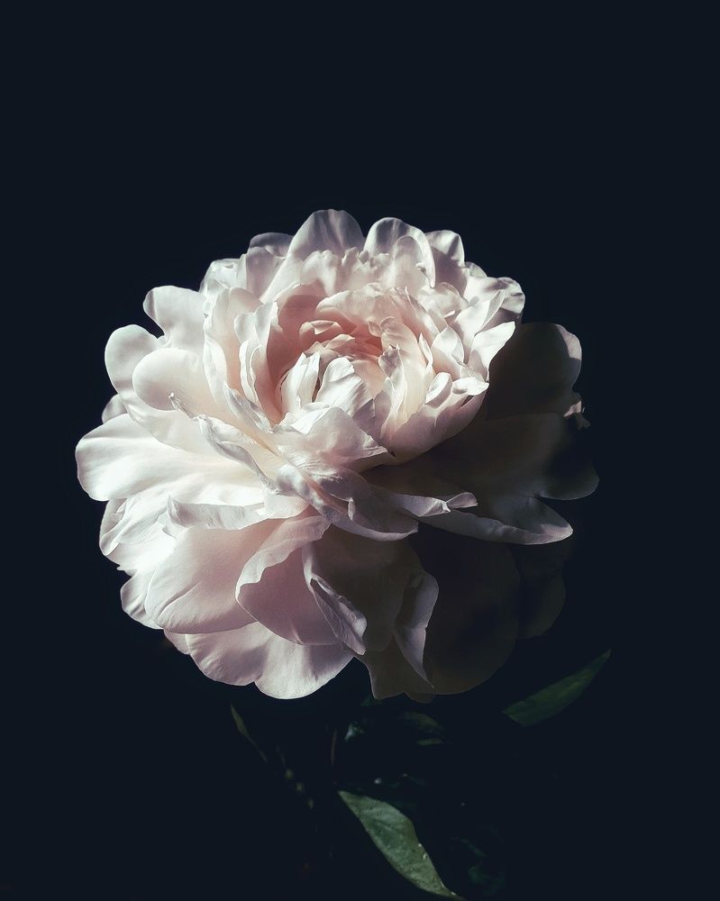 Photograph by NGUYEN LIEN