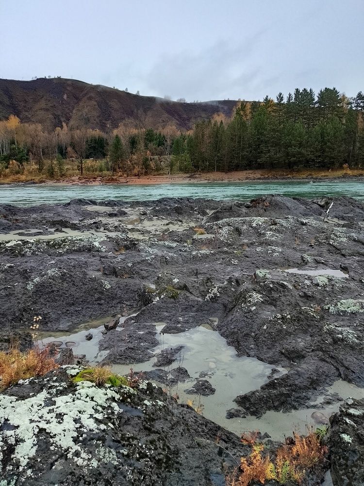 Разноцветный берег