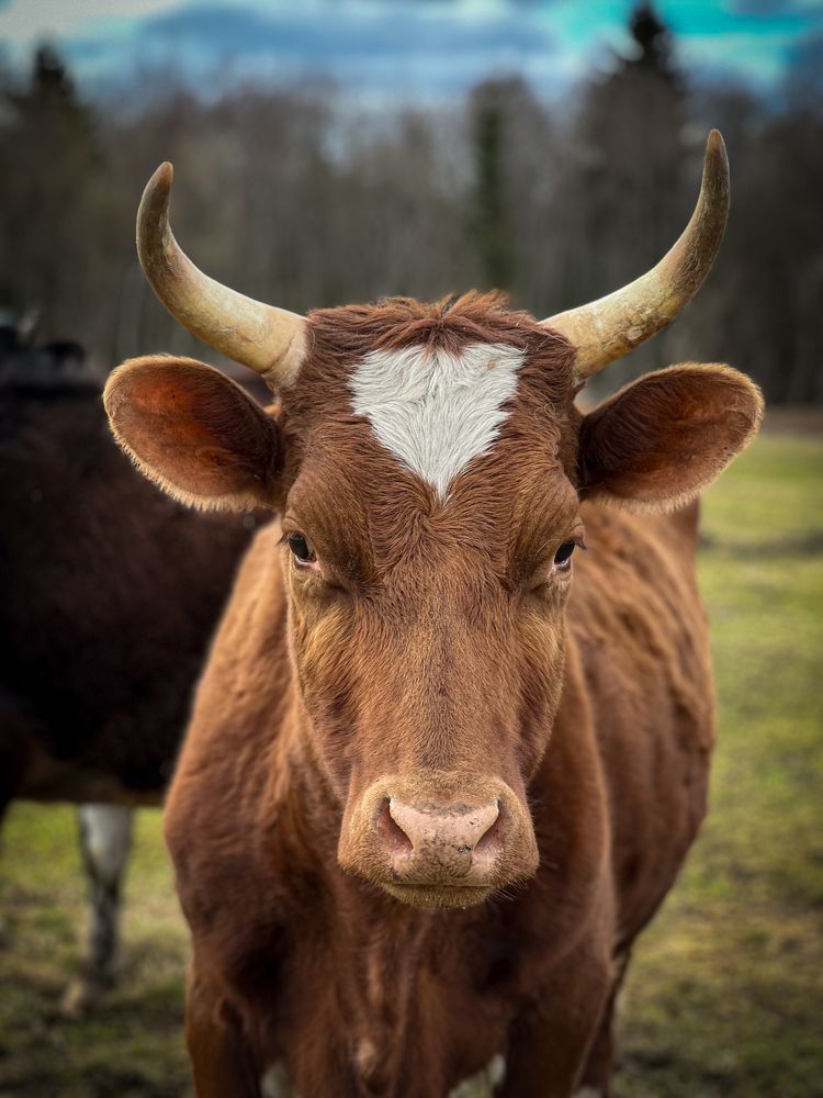 Photograph by Анжелика Александрова