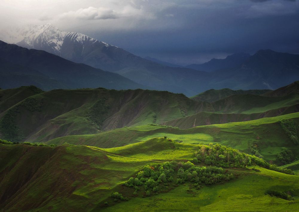 Photograph by Галина Хвостенко