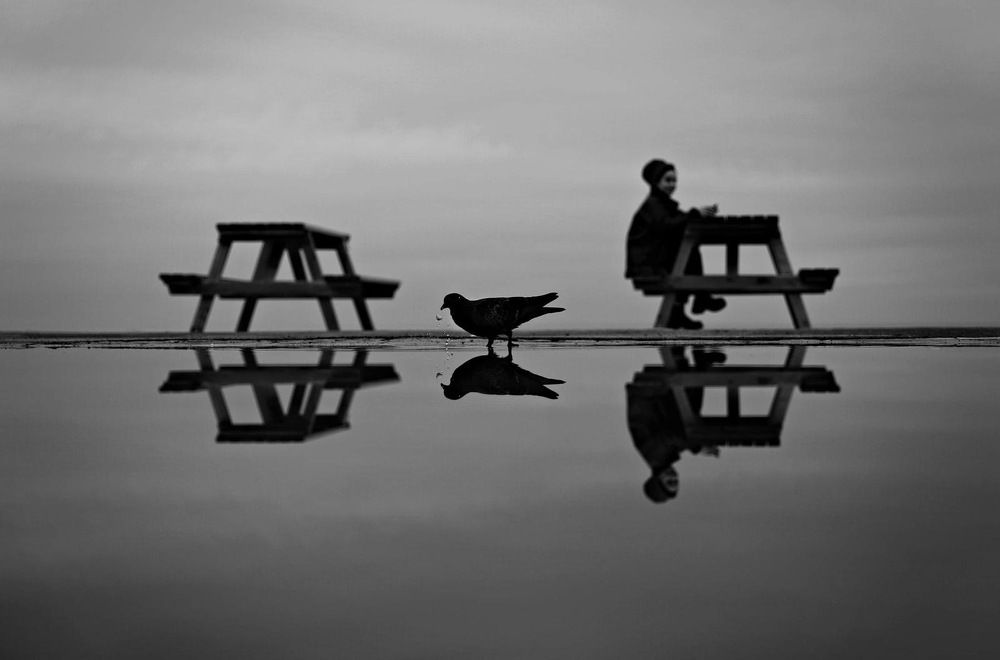 Photograph by Esin Sağır