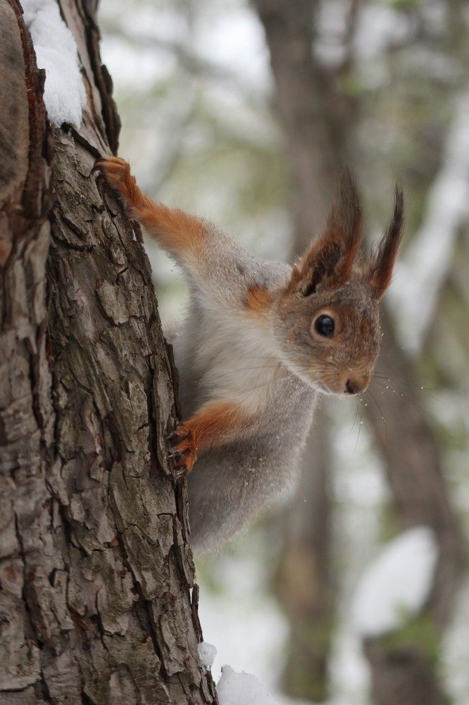 Photograph by Мария Глухова