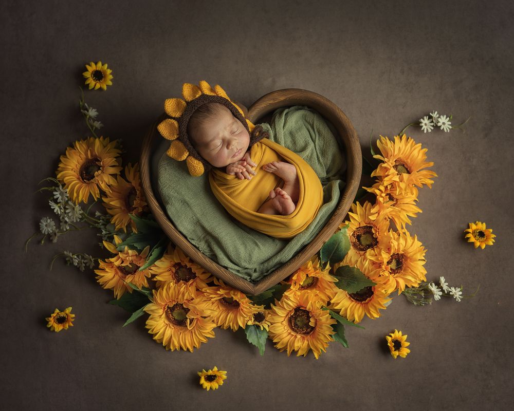 Photograph by Елена Горбенко