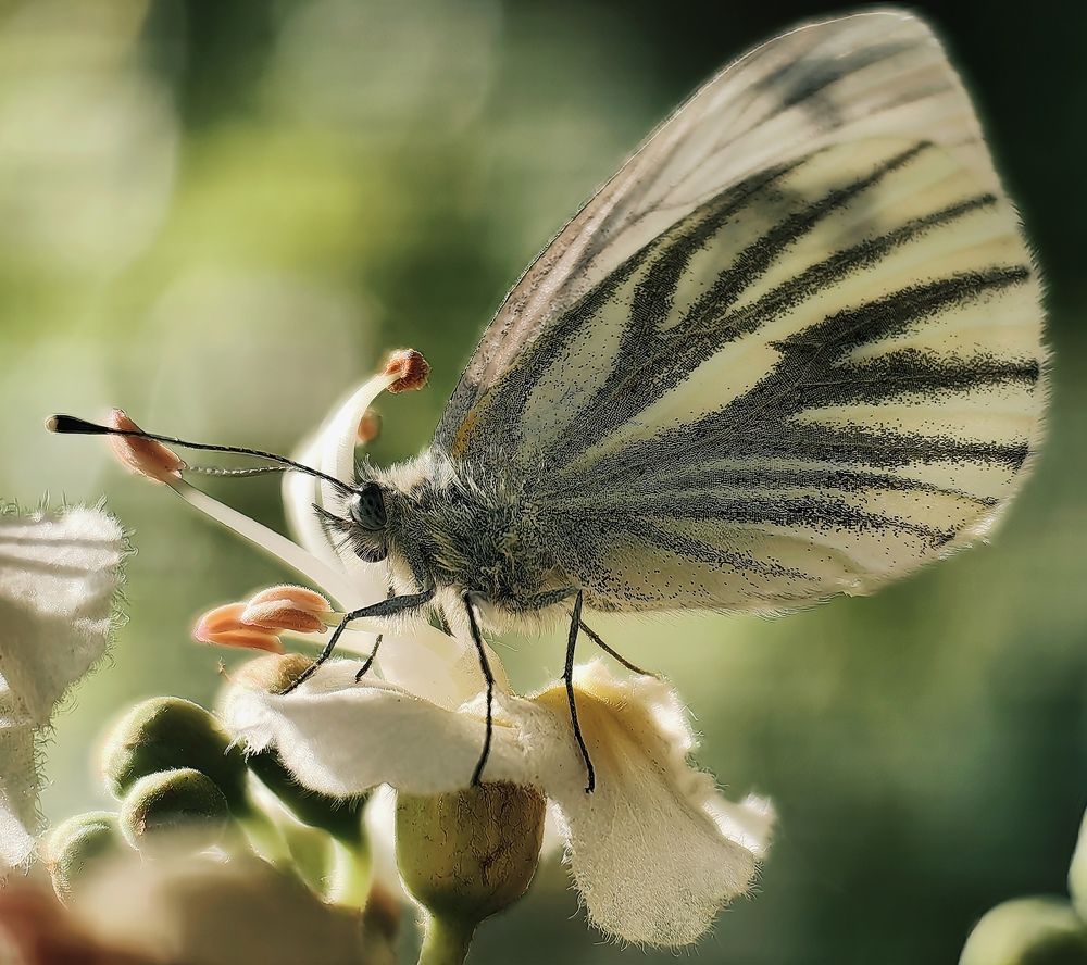 Photograph by Анна