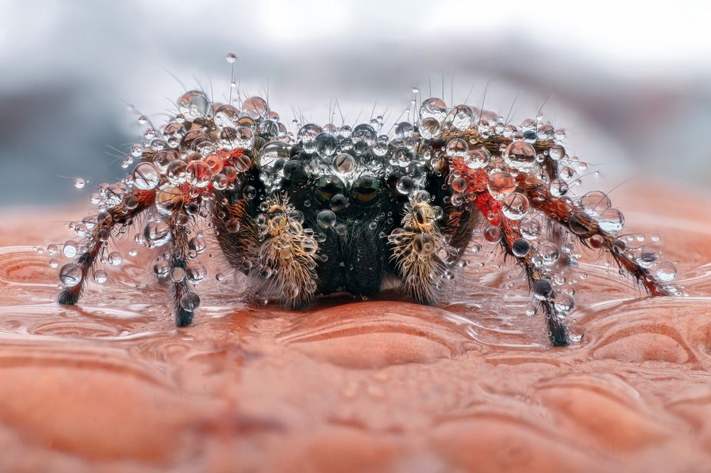 Photograph by Цветан Ганев