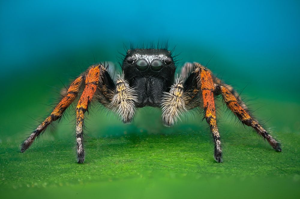 Photograph by Цветан Ганев