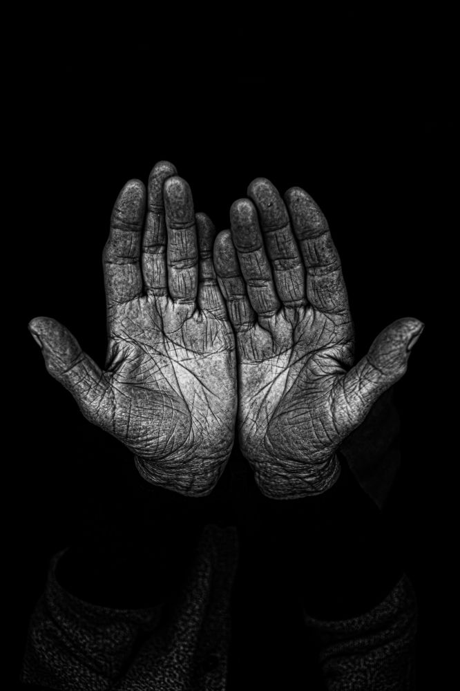 Фотография автора Майрануш Оганнисян