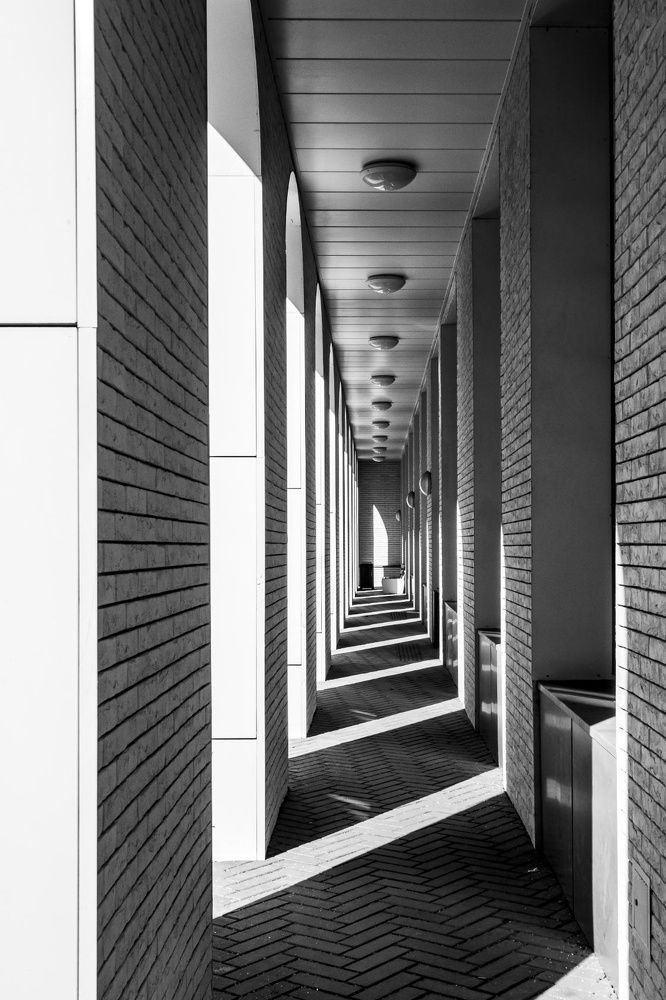 Photograph by Дмитрий Карасев