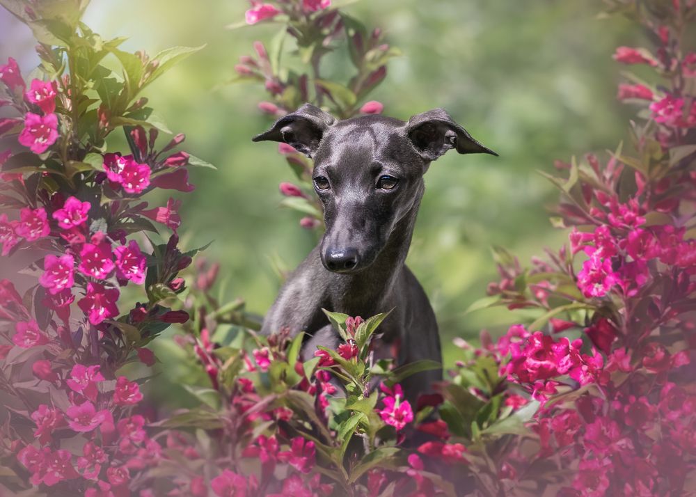 Photograph by Наталья Орел