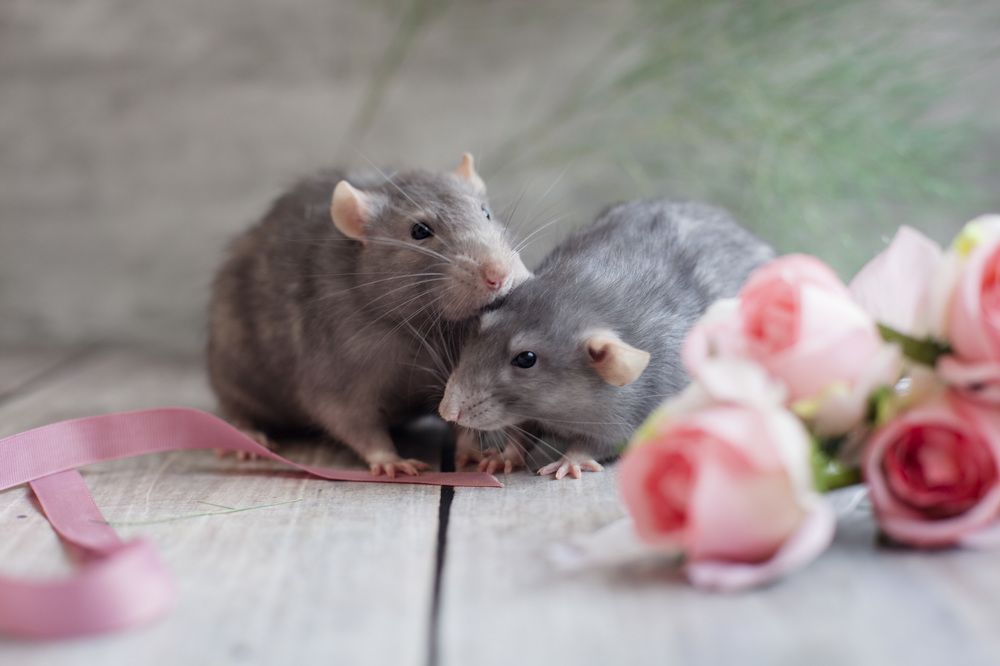 Photograph by Светлана Лукашова