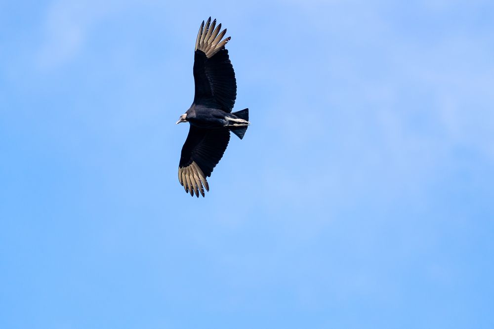 Photograph by Armando López-Guerrero