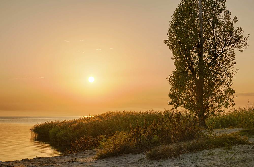 Опоздал на восход