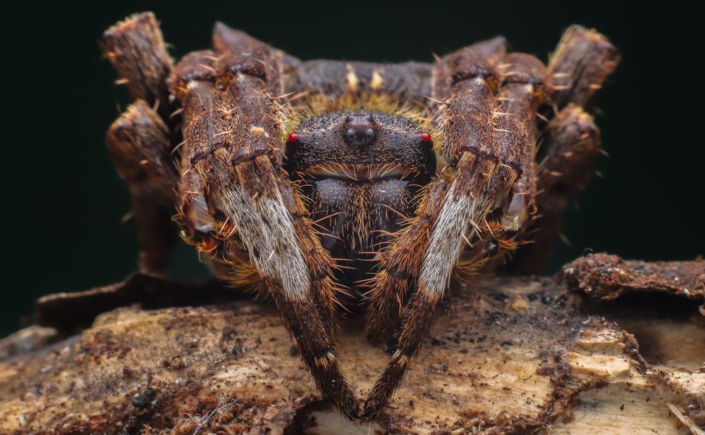 Photograph by Mark Kineth Casindac