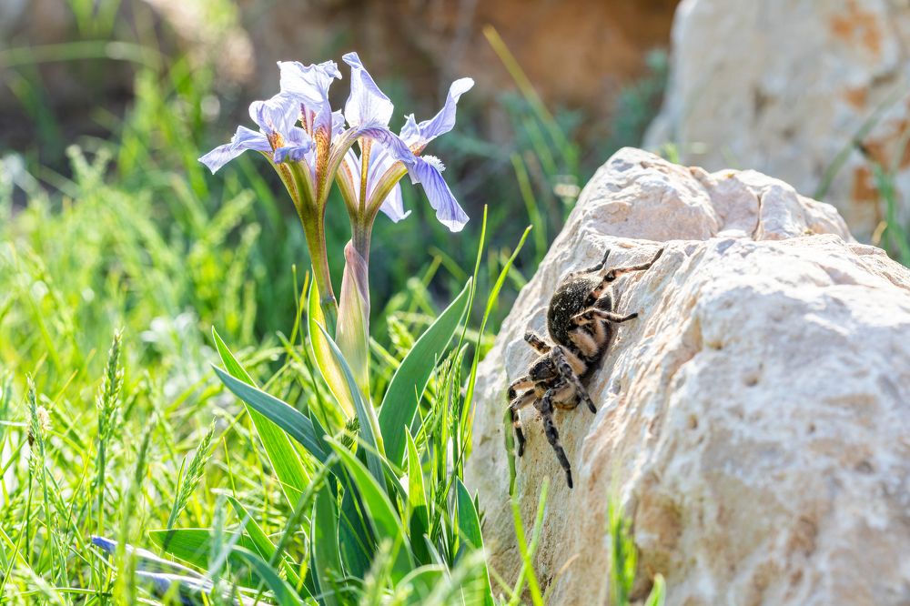 Photograph by Евгения Севрюкова