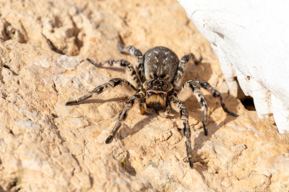 Photograph by Евгения Севрюкова