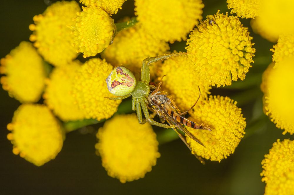 Photograph by Евгения Севрюкова