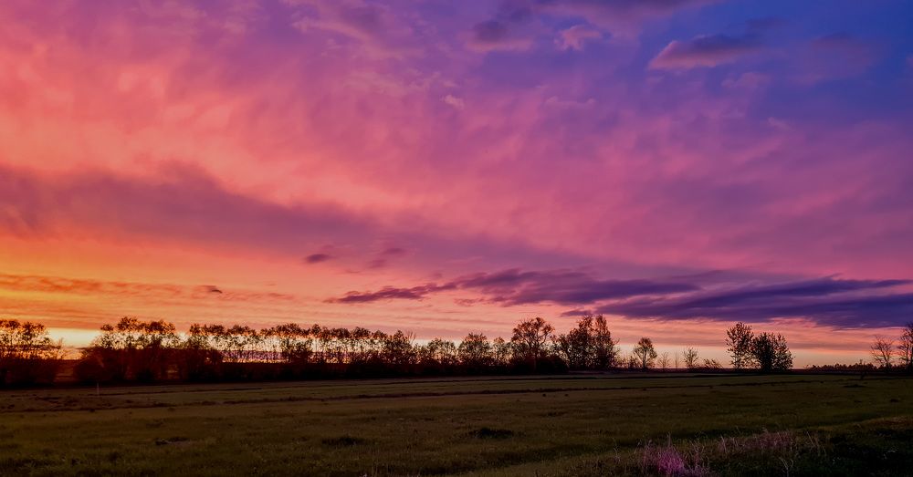 Photograph by Igor Medvedev