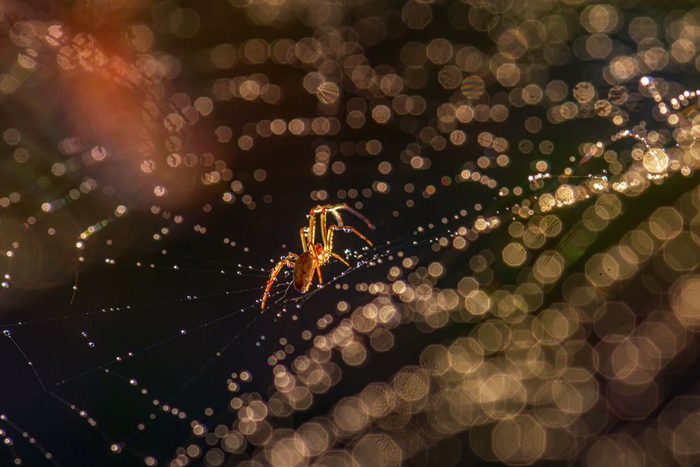 Photograph by Марина Мурашова