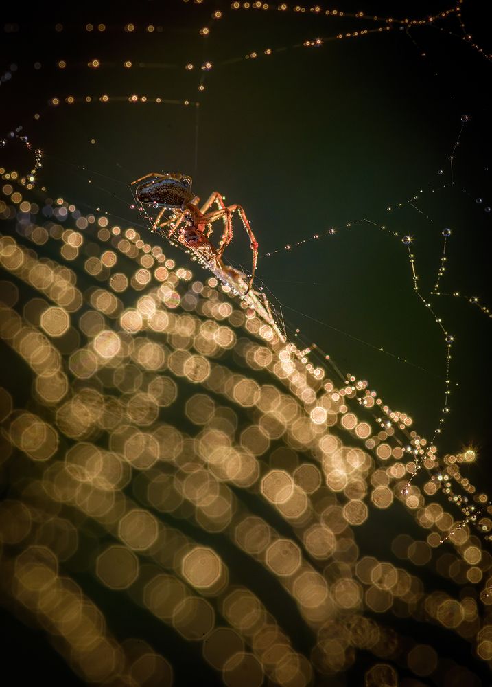 Photograph by Марина Мурашова