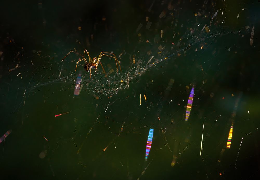 Photograph by Марина Мурашова