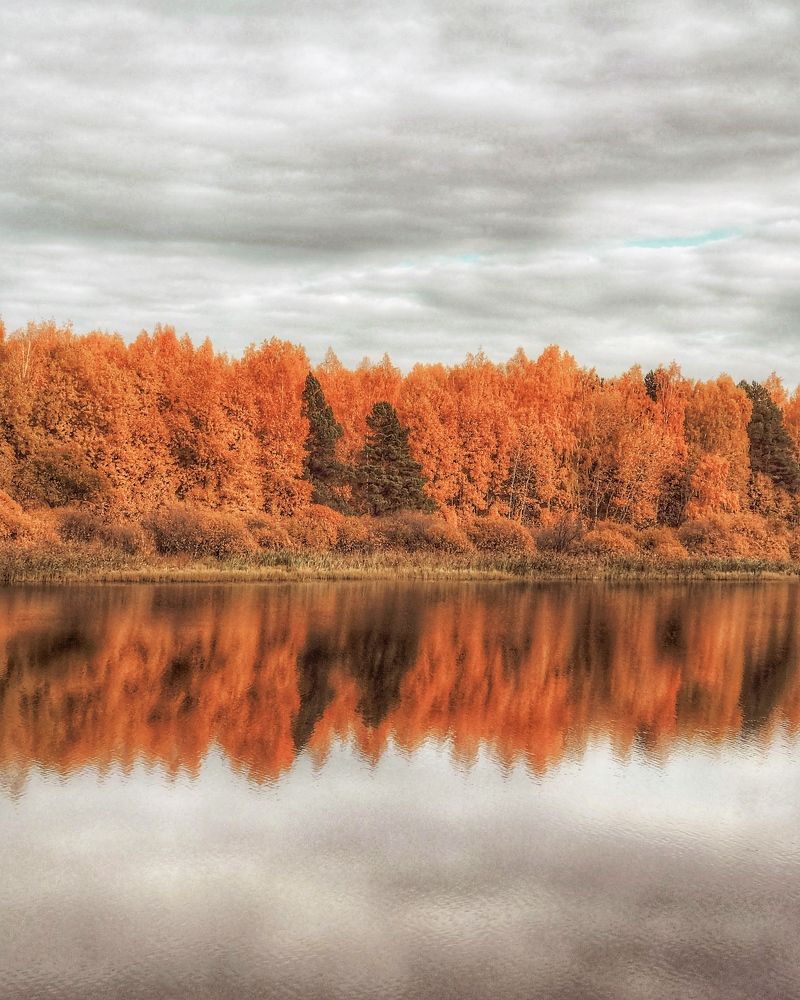 Photograph by Татьяна Волохова