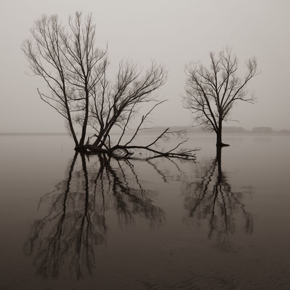 Photograph by Дария Максимова