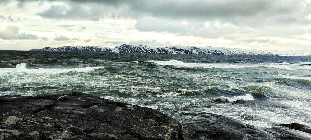 Photo #10580041