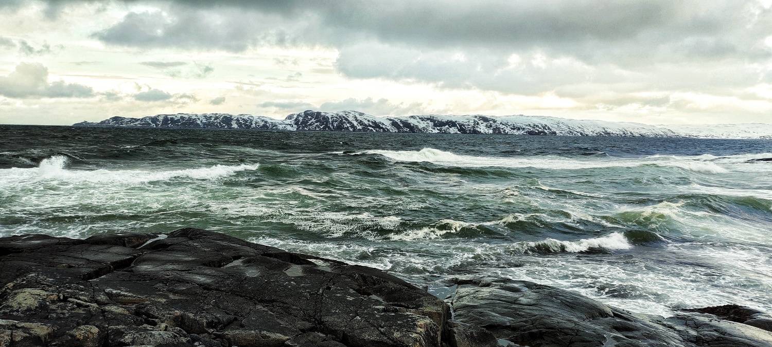 Photo #10580041