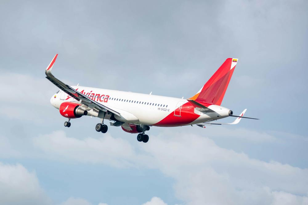 Photograph by Luis Alfredo Morales Torres