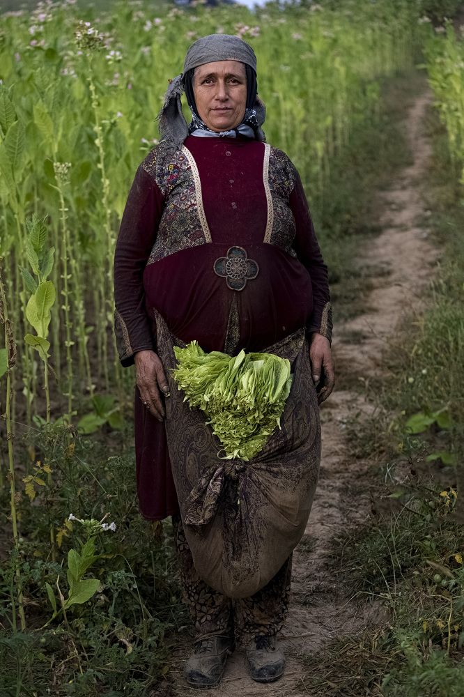 Photograph by Ahmad Mohammad Taghi Shirazi