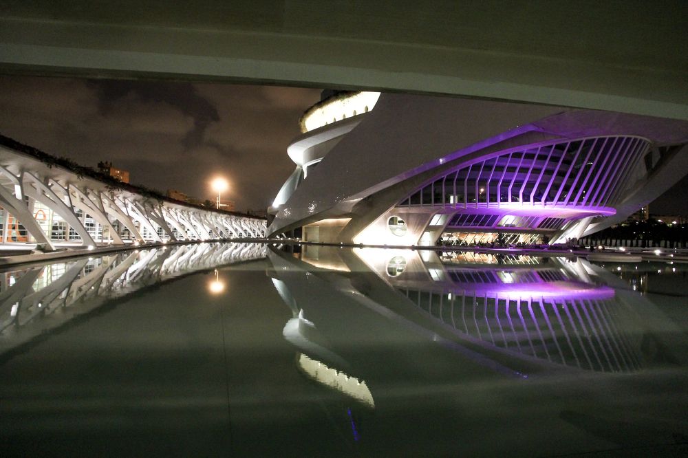 Photograph by Luis Sergio Goncalves