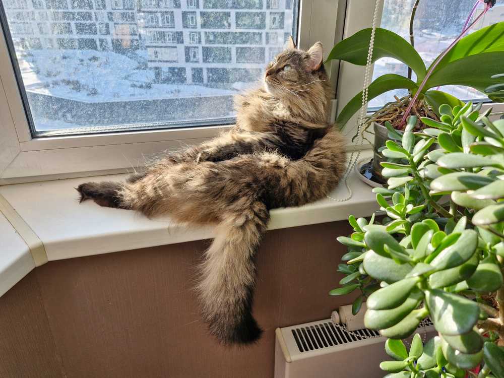 Жизнь удалась