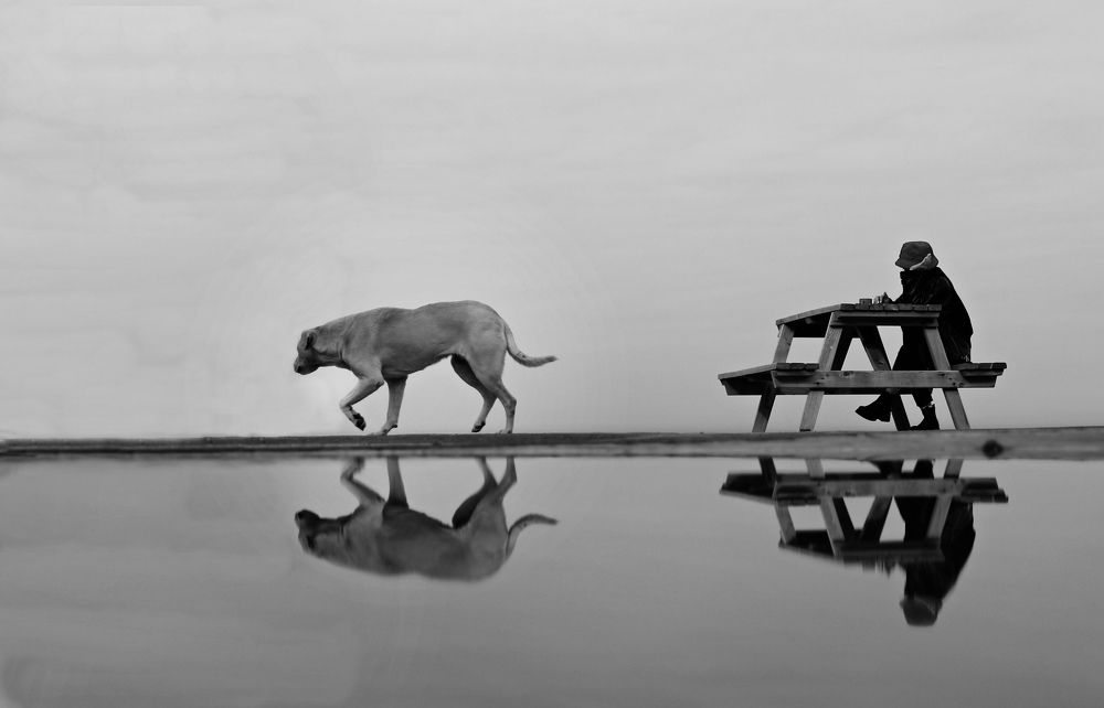 Photograph by Esin Sağır