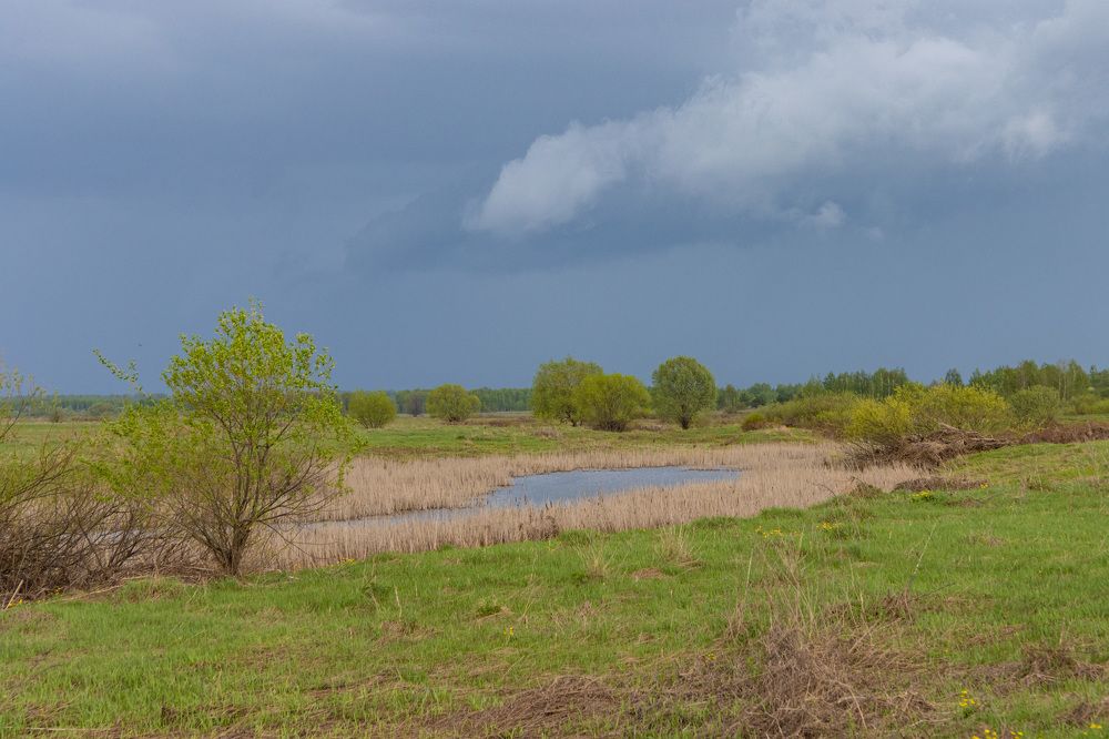 Photograph by Сергей Щербаков
