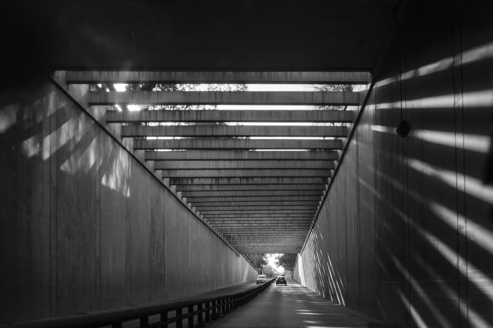 Photograph by Armando López-Guerrero