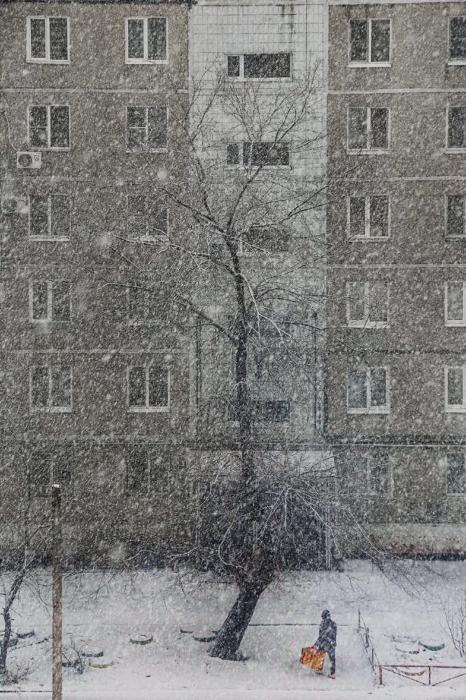 Photograph by Дарья