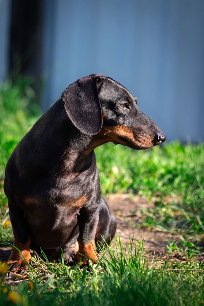 Photograph by Дмитрий Тимин