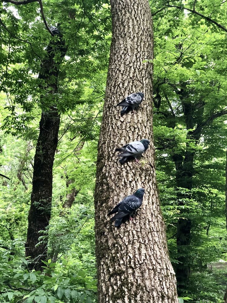 Photograph by Александр