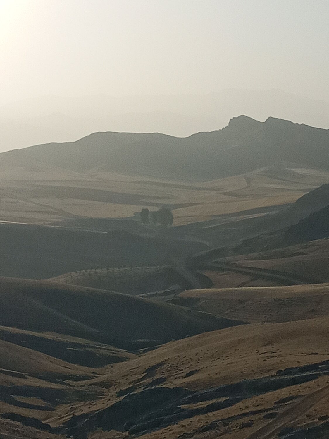 Photo #10580501