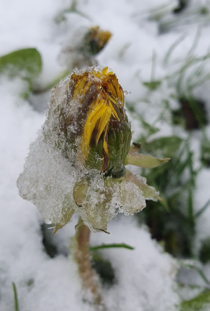 Photograph by Жанна Регор